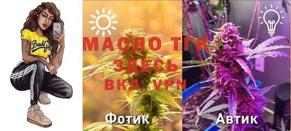 дмт Вяземский