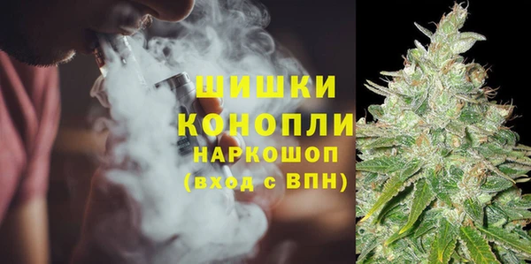 дмт Вяземский